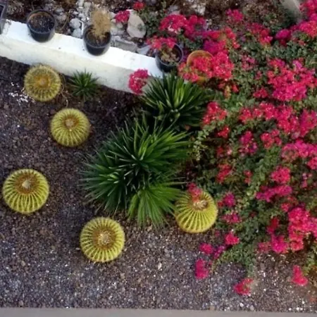 Appartamento Beautiful 2 Bedroom Near Puerto Rico *